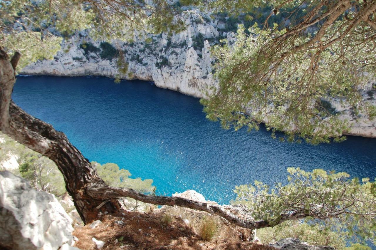 Azur Cassis Lejlighed Eksteriør billede